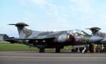 Buccaneer