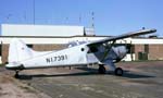 DHC-2 Photo