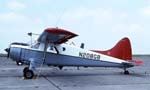 DHC-2 Photo