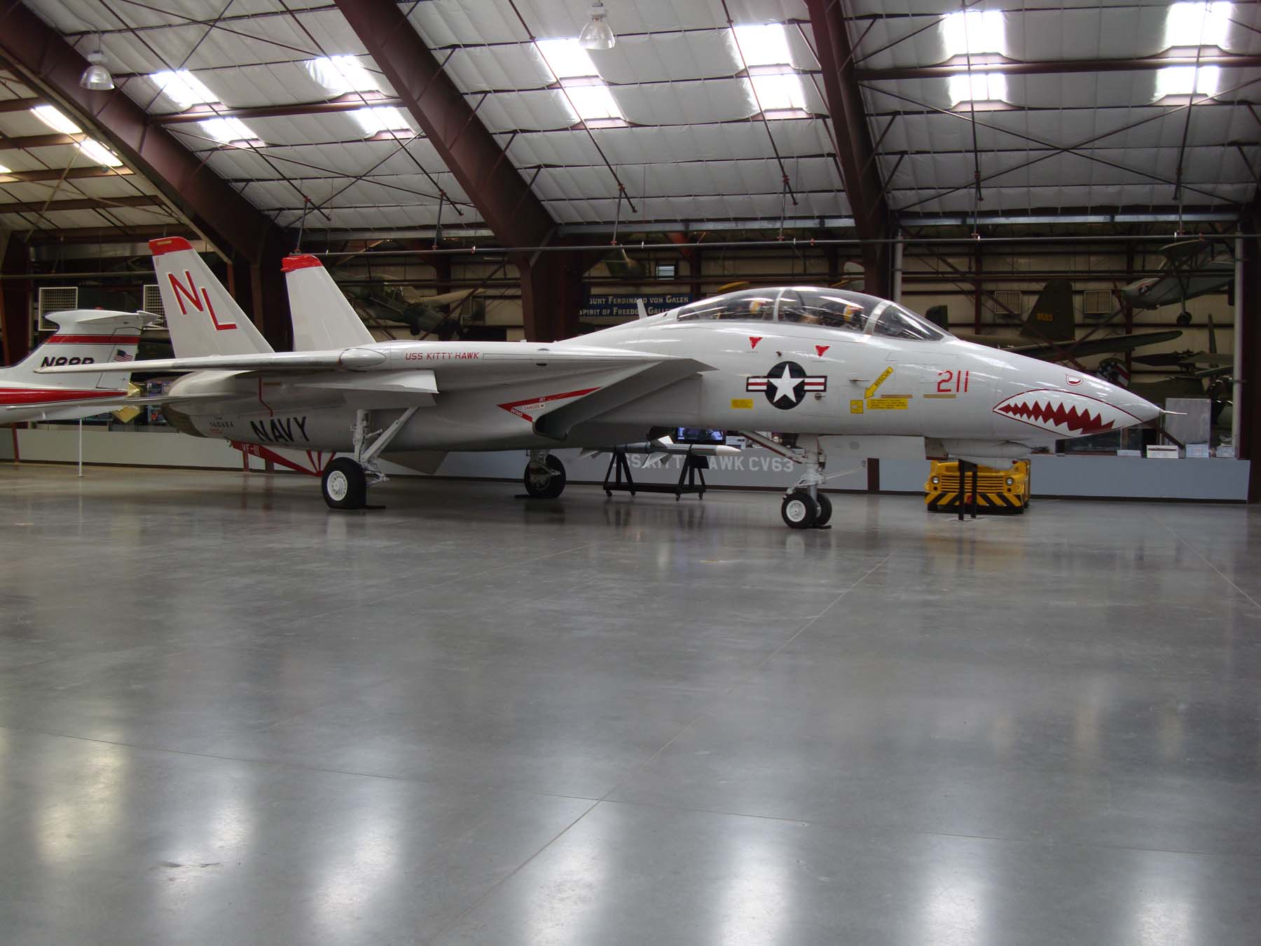 Grumman F-14A Tomcat Walk Around PAM Image 01