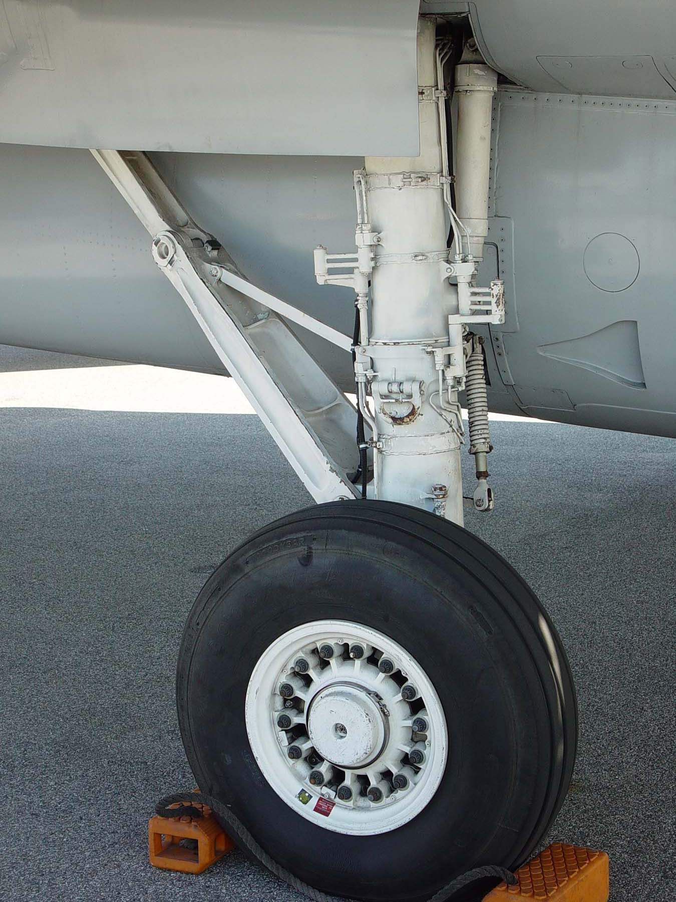 Grumman F-14A Tomcat Walk Around Western Museum of Flight Image 06