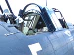 SBD-5 Dauntless Photo