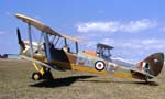 Tiger Moth