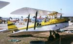 Tiger Moth