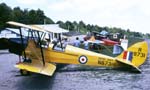 Tiger Moth