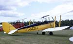 Tiger Moth