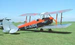 Tiger Moth