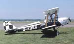 Tiger Moth