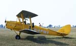 Tiger Moth