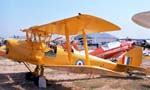 Tiger Moth