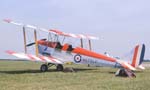 Tiger Moth