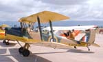 Tiger Moth