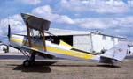 Tiger Moth