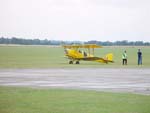 Tiger Moth