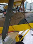 Tiger Moth