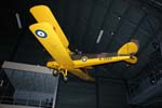 Tiger Moth