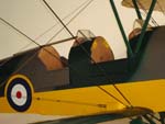 Tiger Moth