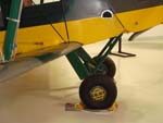 Tiger Moth