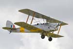 Tiger Moth