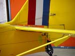 Tiger Moth