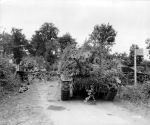 M4 Sherman Photo