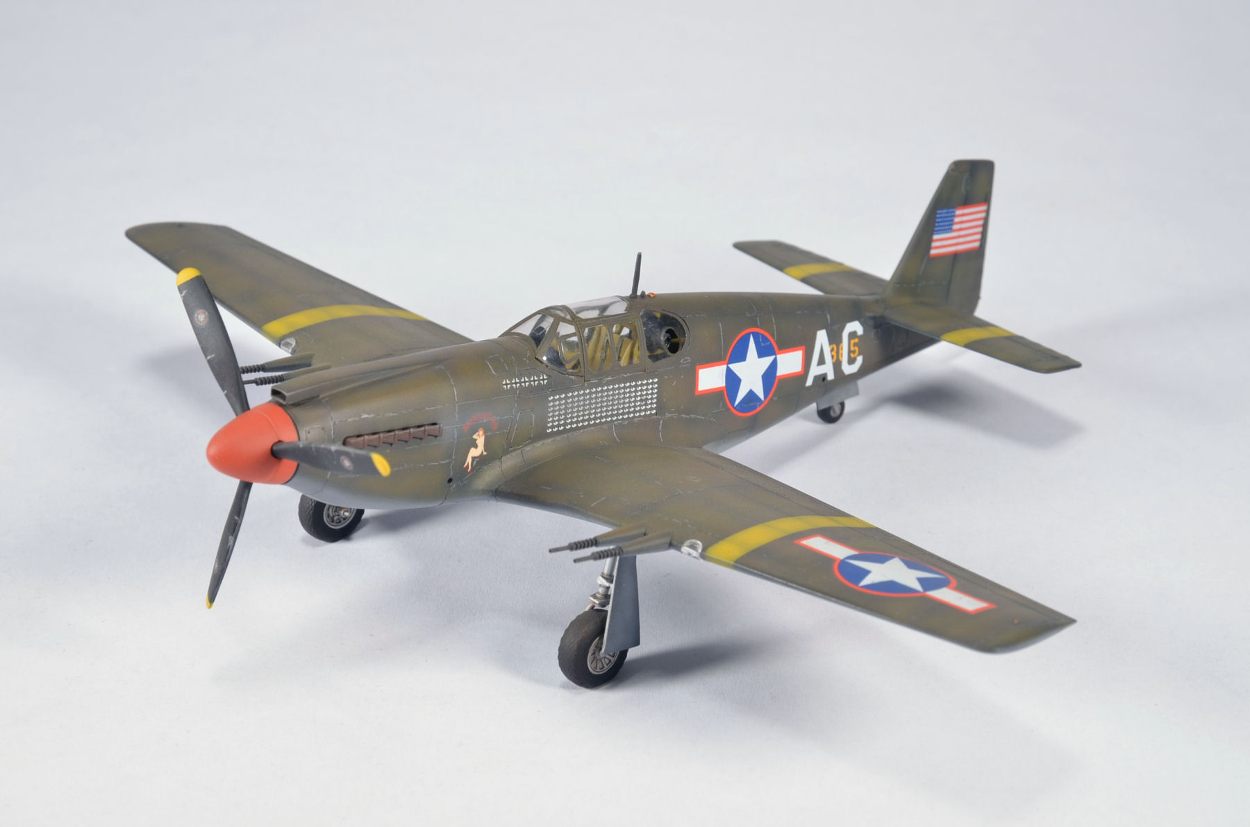 Accurate Miniatures 3410 1/48 P-51 Mustang Photo Feature Image 01