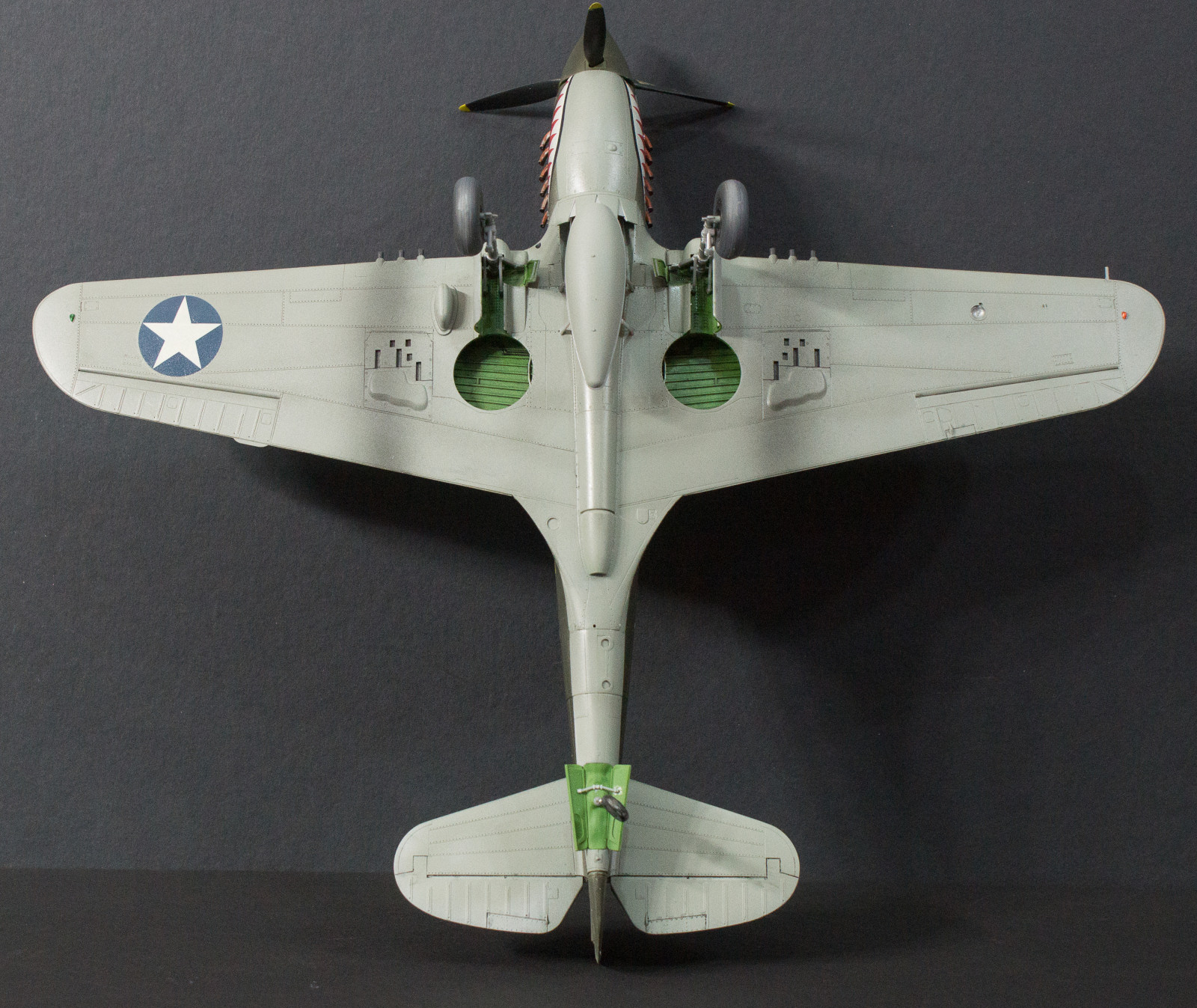 Hasegawa 08226 1/32 P-40E Warhawk Build Image