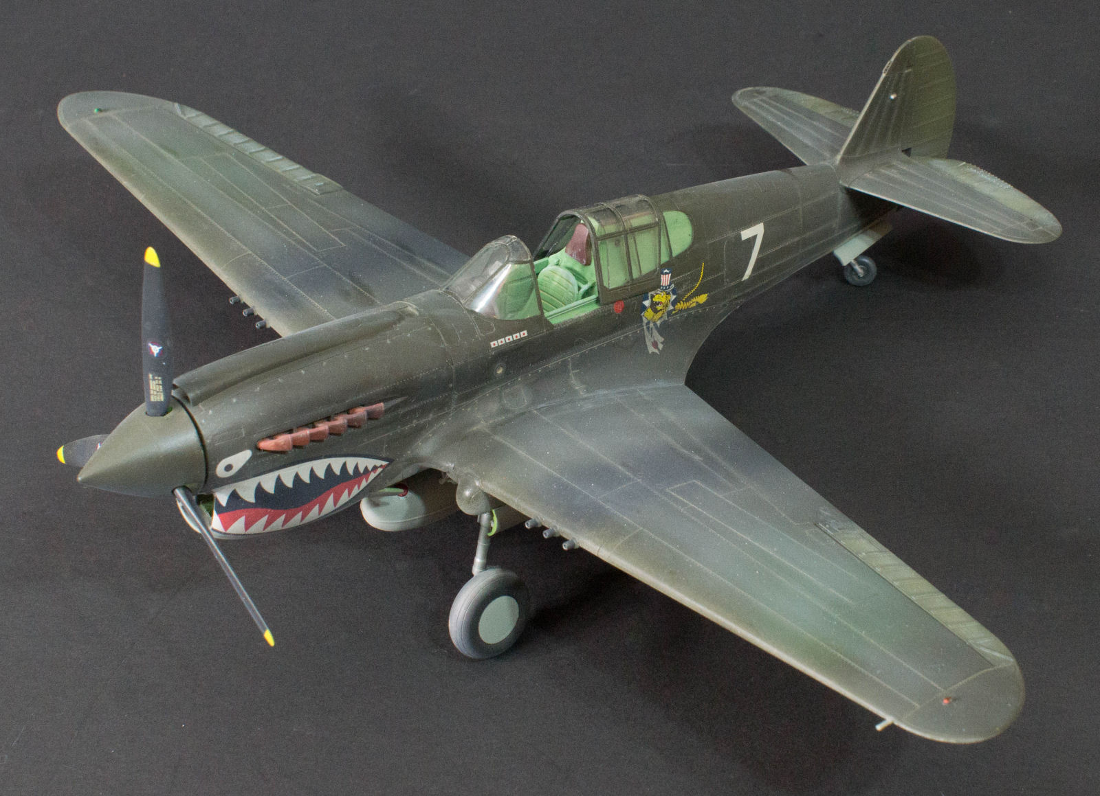 Hasegawa 08226 1/32 P-40E Warhawk Build Image