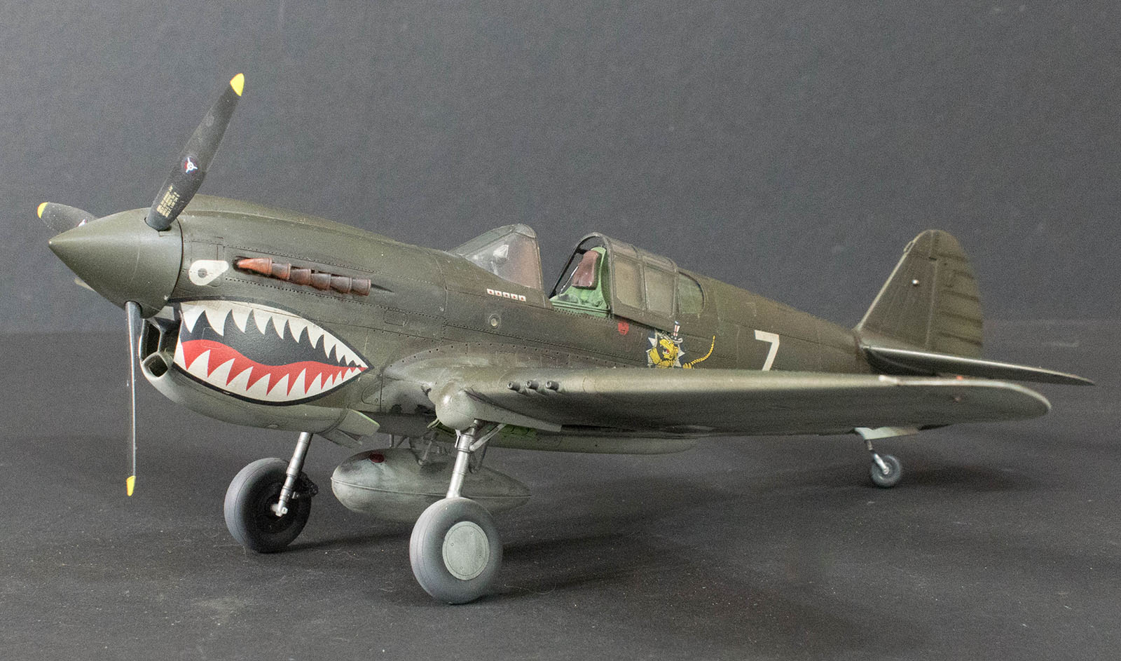 Hasegawa 08226 1/32 P-40E Warhawk 'Operation Mulligan' Image