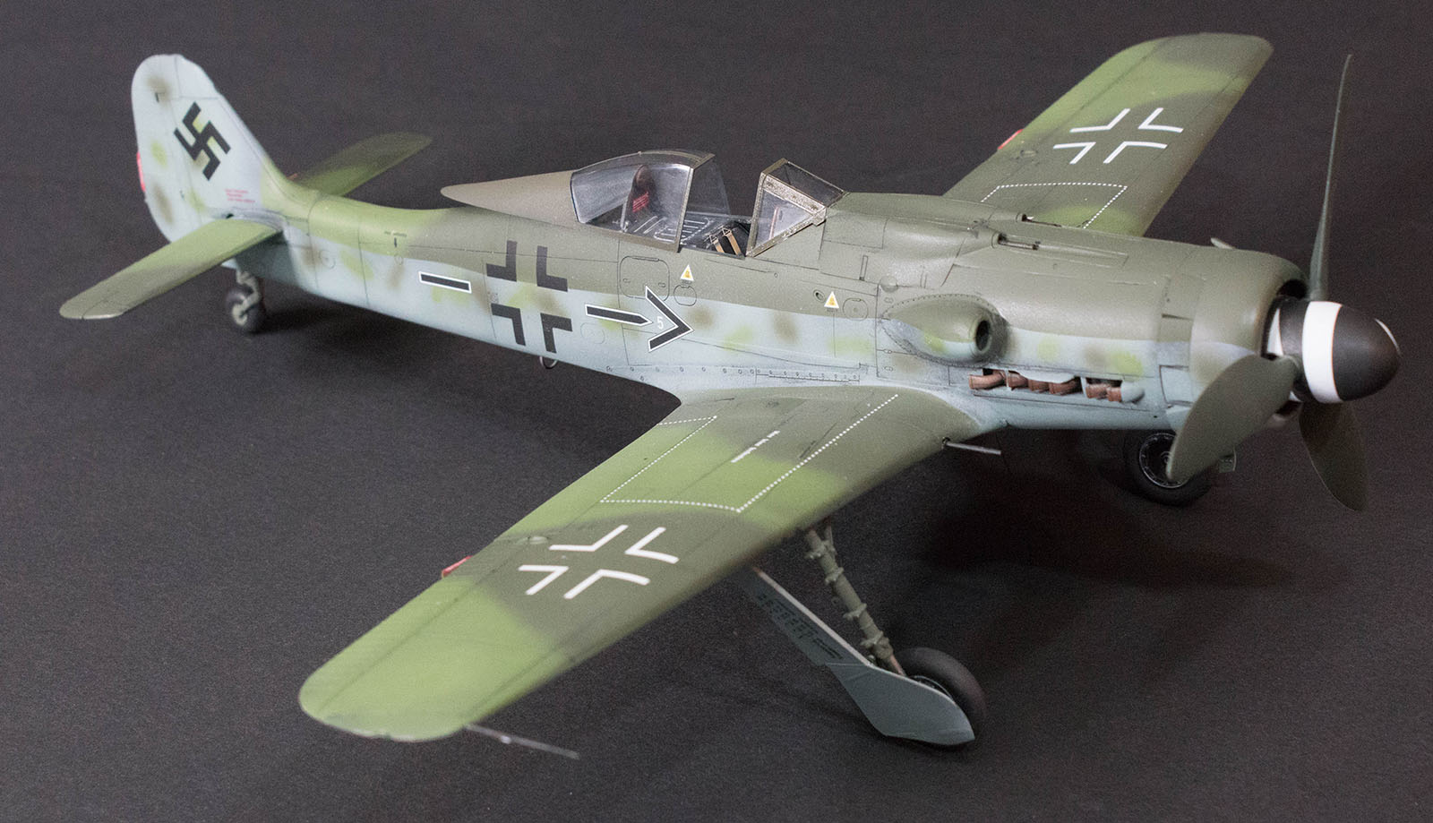 Hasegawa 08251 1/32 Fw 190D-9 'Barkhorn' Build Review Image