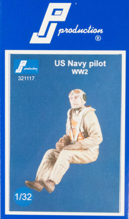 US Navy Pilot WWII