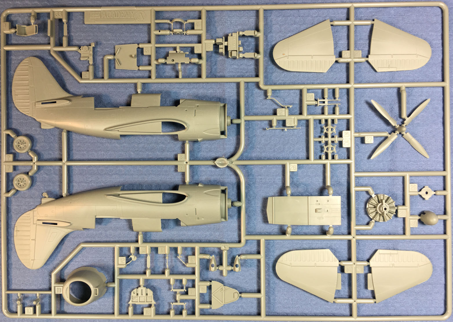 Special Hobby 72350 1/72 SB2C-5 Helldiver First Look Image 01