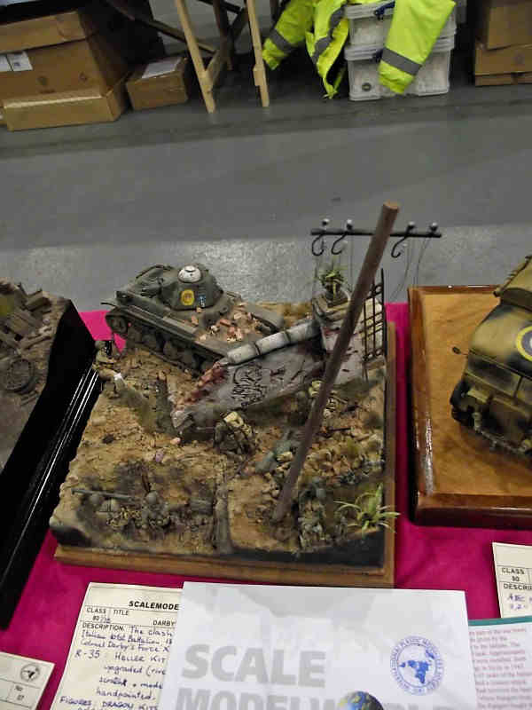 Scale Model World 2010 Contest Room Photo 012