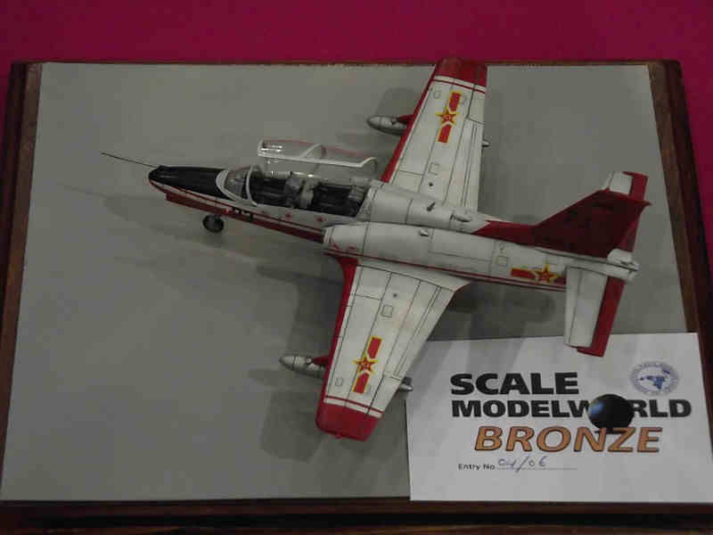 Scale Model World 2010 Contest Room Photo 017