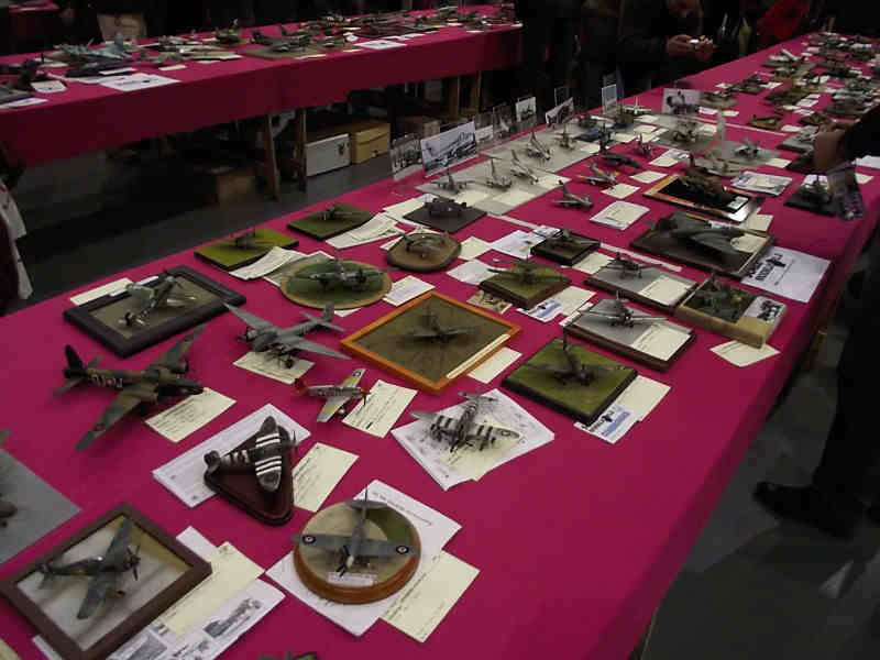 Scale Model World 2010 Contest Room Photo 021