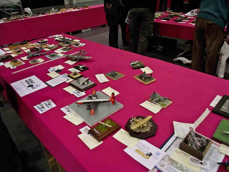 Scale Model World 2010 Contest Room Photo 025