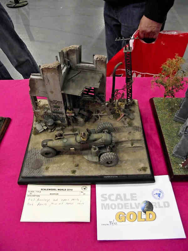 Scale Model World 2010 Contest Room Photo 029