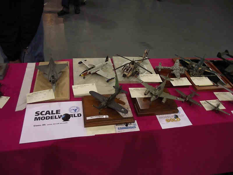 Scale Model World 2010 Contest Room Photo 033