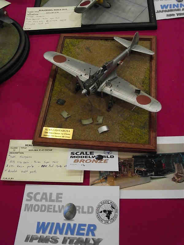 Scale Model World 2010 Contest Room Photo 060