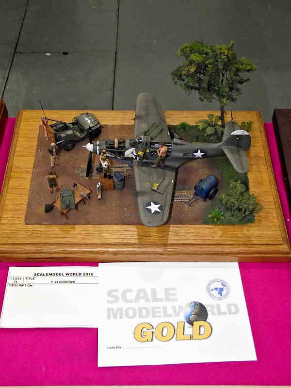 Scale Model World 2010 Contest Room Photo 078