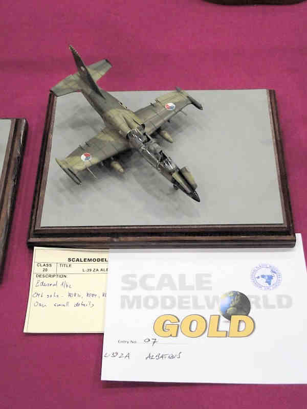 Scale Model World 2010 Contest Room Photo 082