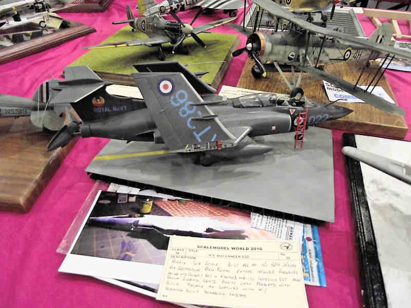 Scale Model World 2010 Contest Room Photo 089