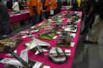 Scale Model World 2010