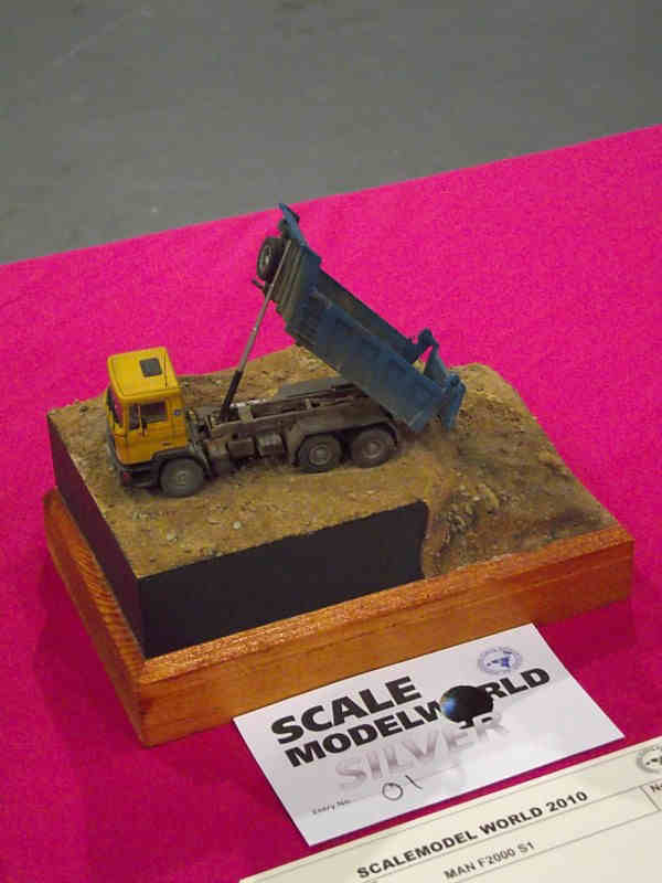 Scale Model World 2010 Contest Room Photo 104