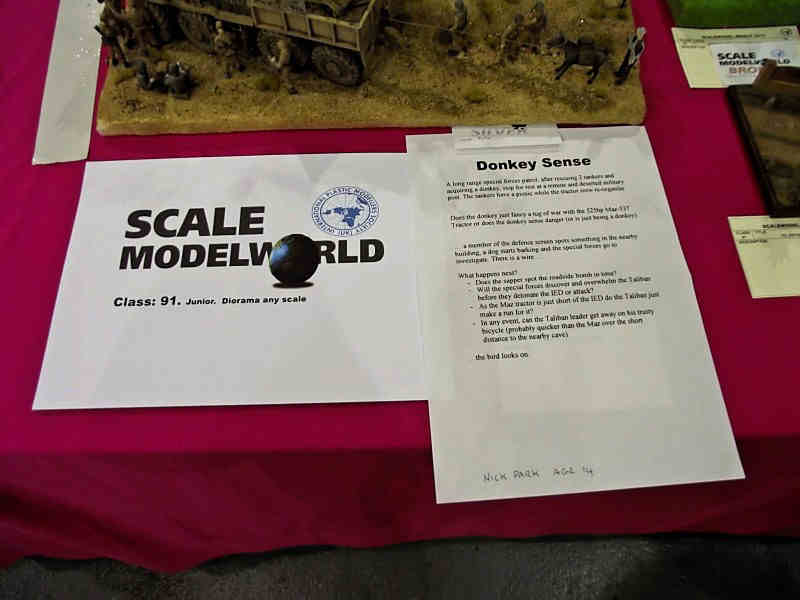 Scale Model World 2010 Contest Room Photo 111