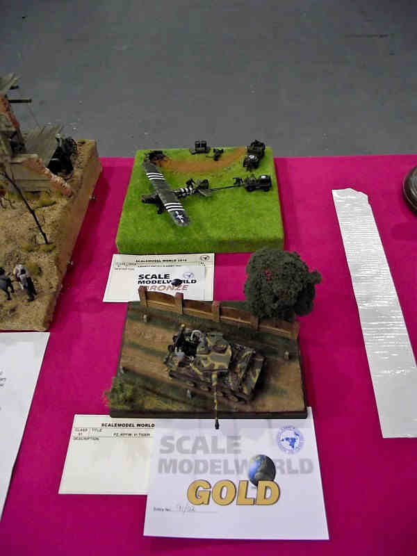 Scale Model World 2010 Contest Room Photo 112