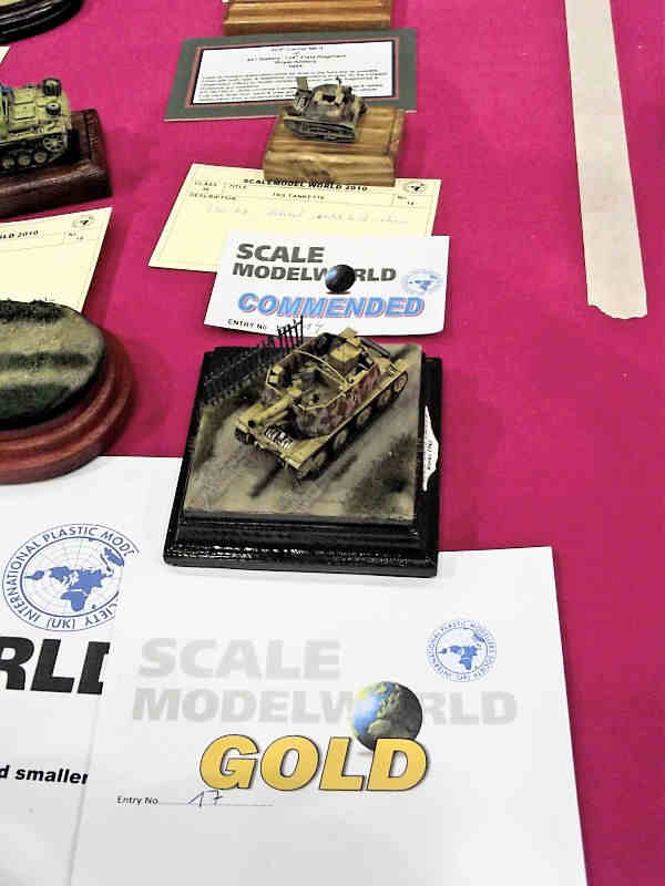 Scale Model World 2010 Contest Room Photo 129