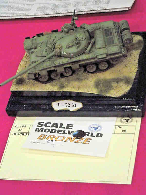 Scale Model World 2010 Contest Room Photo 133