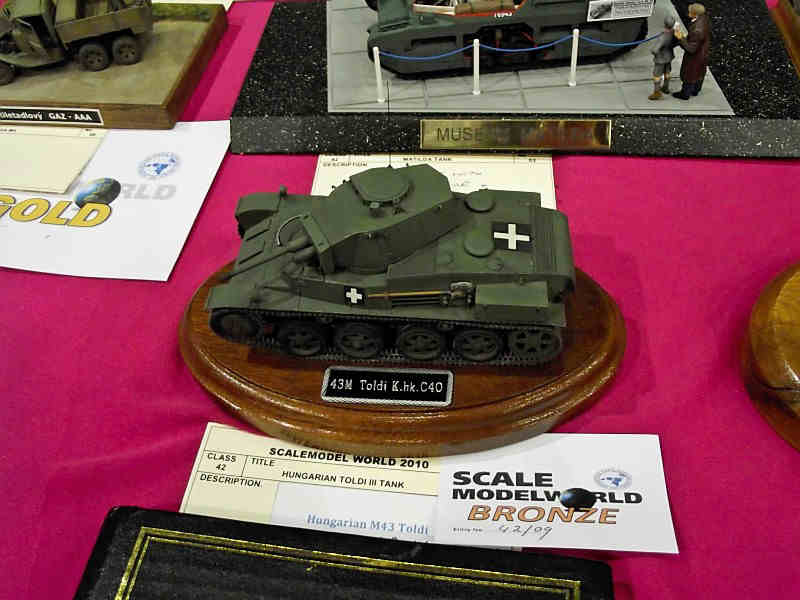 Scale Model World 2010 Contest Room Photo 161