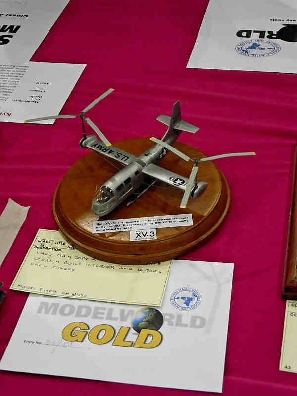 Scale Model World 2010 Contest Room Photo 230